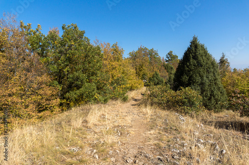 Amazing Autumn landscape of Ruen Mountain - northern part of Vlahina Mountain, Kyustendil Region, Bulgaria
