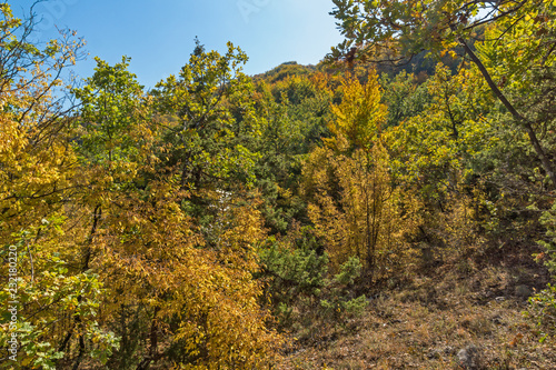 Fototapeta Naklejka Na Ścianę i Meble -  Amazing Autumn landscape of Ruen Mountain - northern part of Vlahina Mountain, Kyustendil Region, Bulgaria