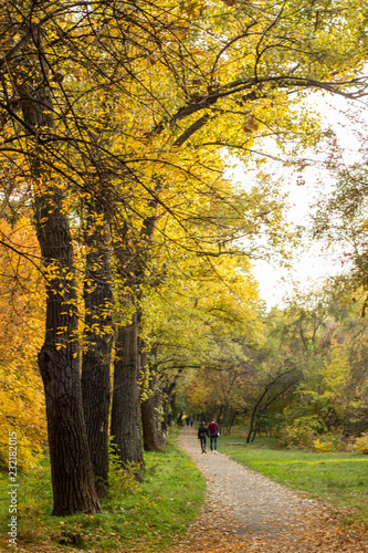 Beautiful autumn park in which people walk