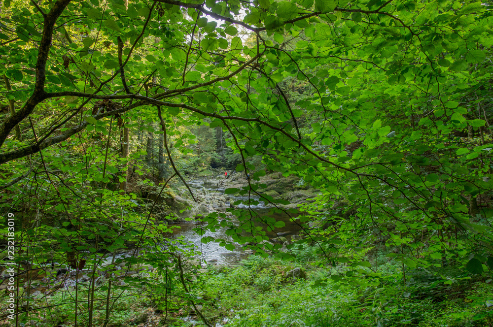 Fluss Fluss
