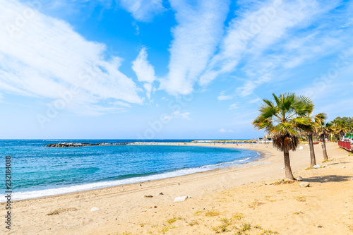 Palm tree on beach in Marbella town, Spain