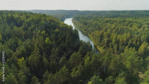 River and Green Forest nature near summer Cesis city in Latvia, Gauya, 4K drone flight landscape from above photo