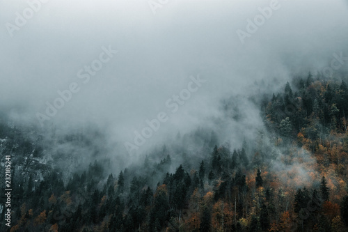 Bunter Wald in den Alpen im Herbst, Bayern, Germany