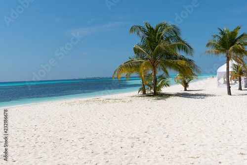 Fototapeta Naklejka Na Ścianę i Meble -  tropical beach with palm trees