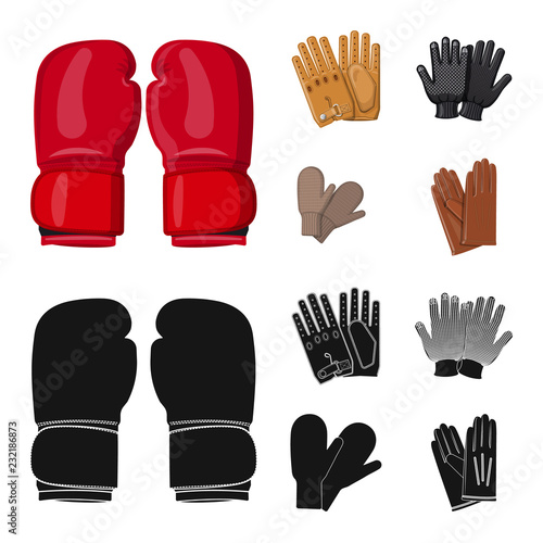 Isolated object of glove and winter icon. Set of glove and equipment stock vector illustration.