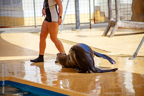 Fototapeta Naklejka Na Ścianę i Meble -  Zu Füßen liegen
