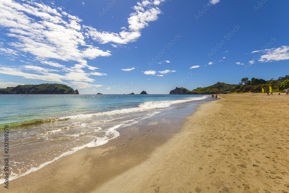 Landscape Scenery of Hahei Beach, Coromandel Peninsula - New Zealand