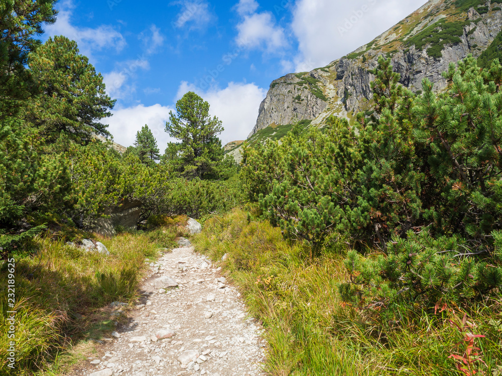 Footpath trail from Strbske Pleso, beautiful nature with pine trees and rocky montain peak, High Tatras mountain, Slovakia, late summer sunny day, blue sky background Footpath trail from Strbske Pleso, beautiful nature with pine trees and rocky montain peak, High Tatras mountain, Slovakia, late summer sunny day, blue sky background