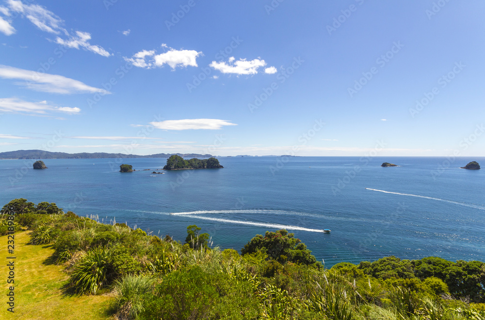 Landscape Scenery of Cathedral Cove Beach, Coromandel Peninsula - New Zealand