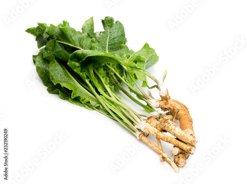 horseradish with roots isolated on white background