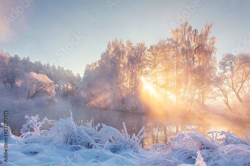 Scenery winter in sunbeams. Snowy nature. Christmas background