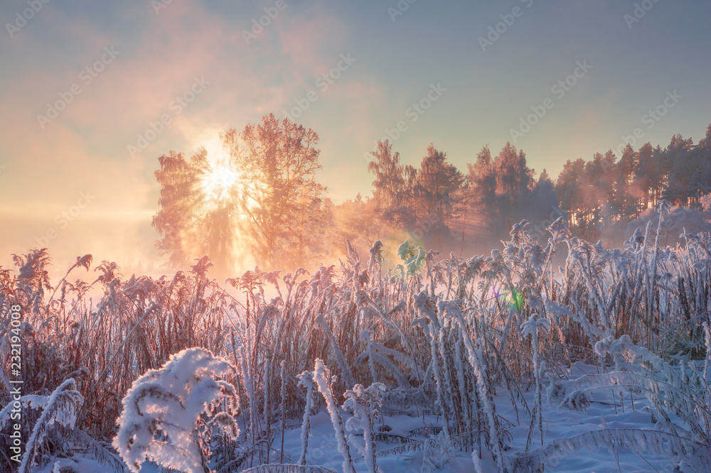 Winter nature landscape. Frosty scene in morning sunlight. January.