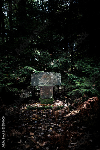 Historic tombstone in dark forest.