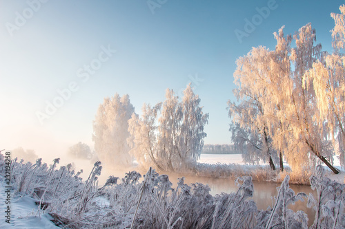 Winter morning landscape with frosty trees on riverside