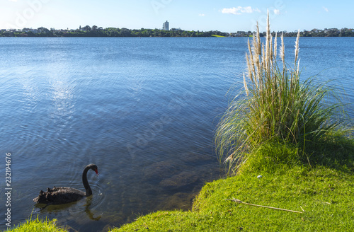 Landscape View of Lake Pupuke, Auckland New Zealand photo