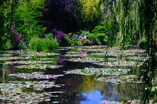 Beautiful Garden of Giverny of Monet