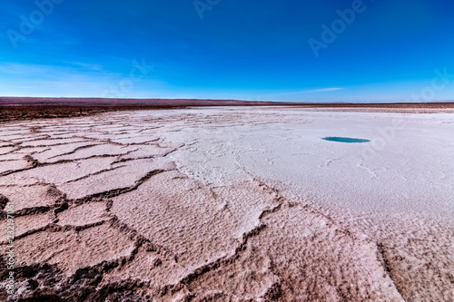 Laguna escondida en Atacama photo