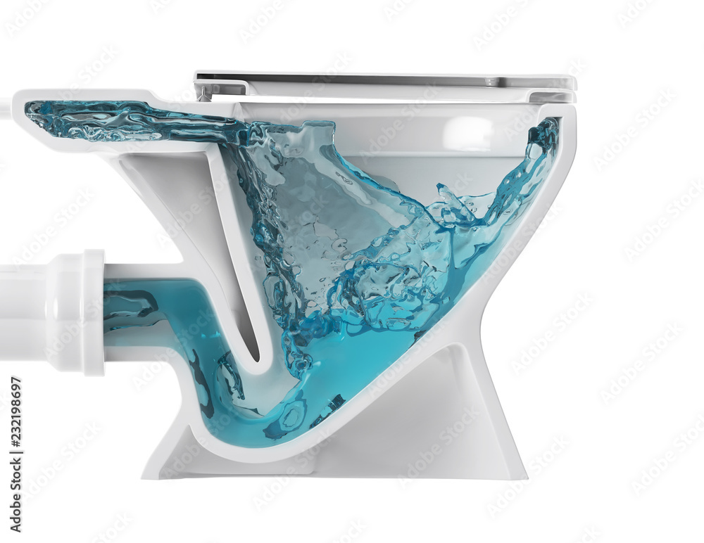 Toilet bowl structure (system) cross section. The flushing of the toilet.  3D illustration. Isolated on white background. Stock Illustration | Adobe  Stock