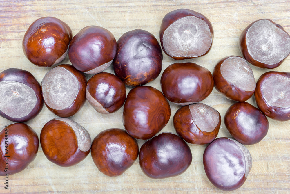 pile of aesculus hippocastanum or conker tree nuts on tablecloth. Closeup, Top view pile of aesculus hippocastanum or conker tree nuts on tablecloth. Closeup, Top view