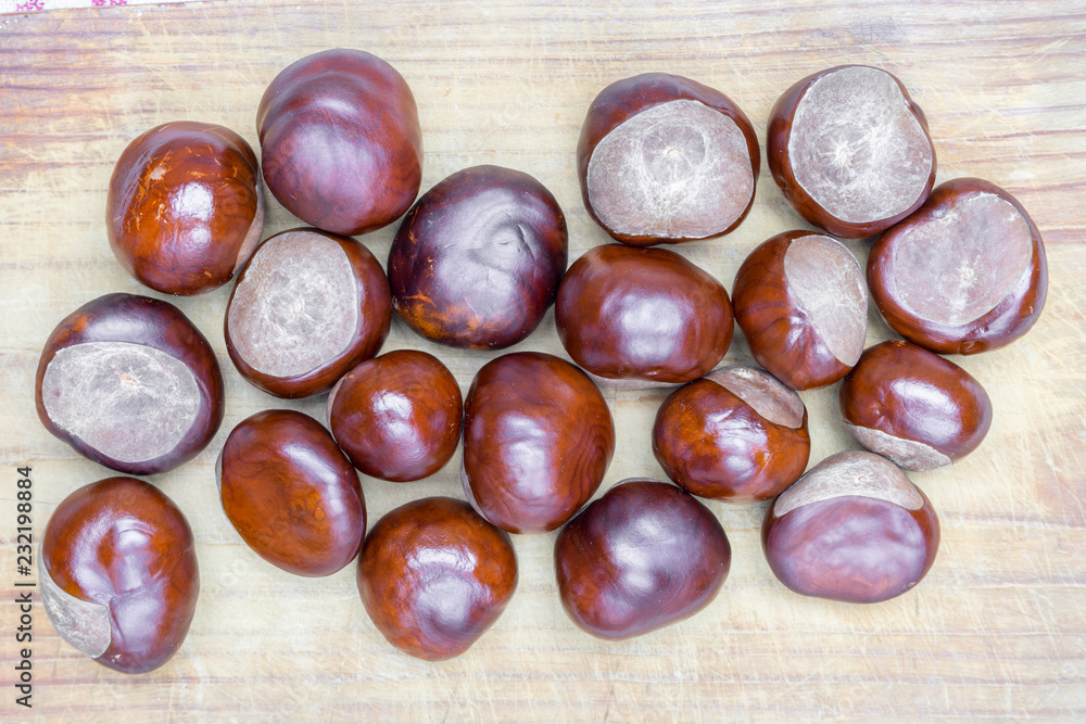 Obraz premium Pile of aesculus hippocastanum or conker tree nuts on tablecloth. Top view. Chestnuts for Christmas