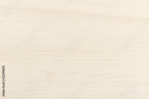 Balsa wood surface texture