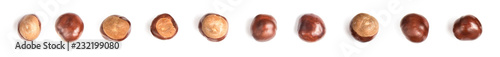 row of chestnuts or aesculus hippocastanum or conker tree nuts isolated on white background