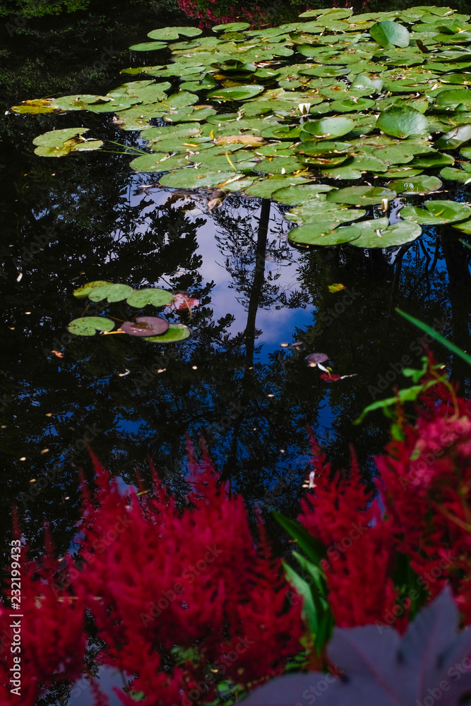 Beautiful Garden of Giverny of Monet Beautiful Garden of Giverny of Monet