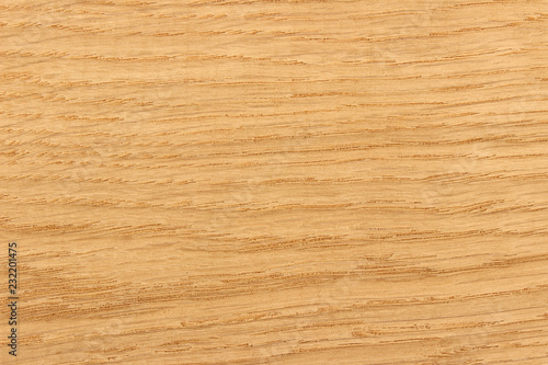 Oak wood texture surface detail