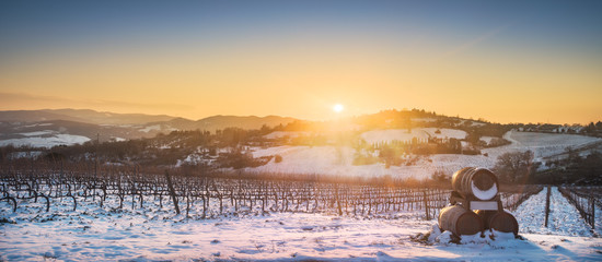 Vineyards rows covered by snow in winter at sunset. Chianti, Siena, Italy