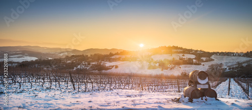Vineyards rows covered by snow in winter at sunset. Chianti, Siena, Italy
