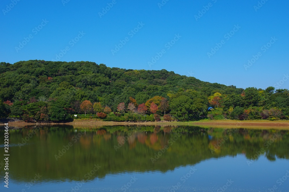 秋の諏訪の池　島原半島