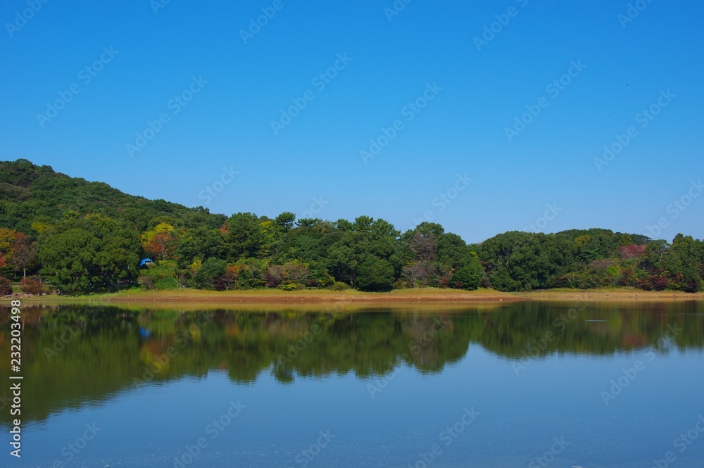Fototapeta premium 秋の諏訪の池 島原半島