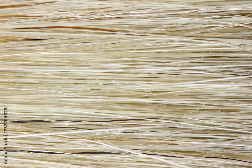 Paint brush bristle detail Paint brush bristle detail