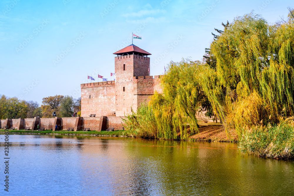 The only remaining brick-built medieval fortress. In front of the castle is a boating lake and a huge willow tree in autumn. Hungary, Gyula