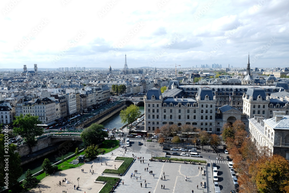 Naklejka premium View towards Eiffel Tower from Notre Dame