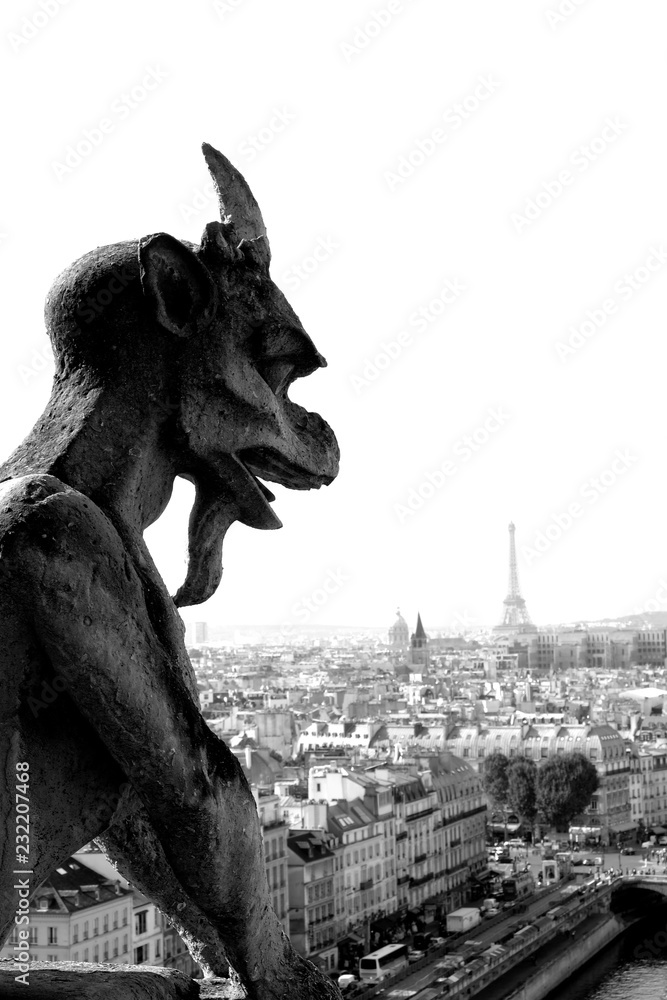 Gargoyle of Notre Dame in Paris