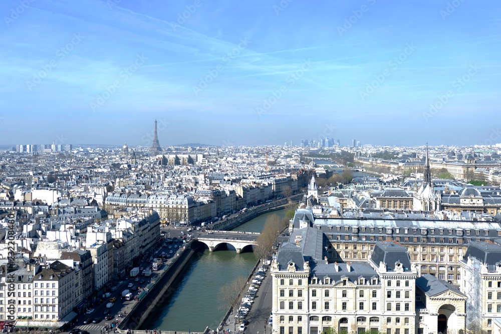 View over Paris towards Eiffel Tower from Notre Dame