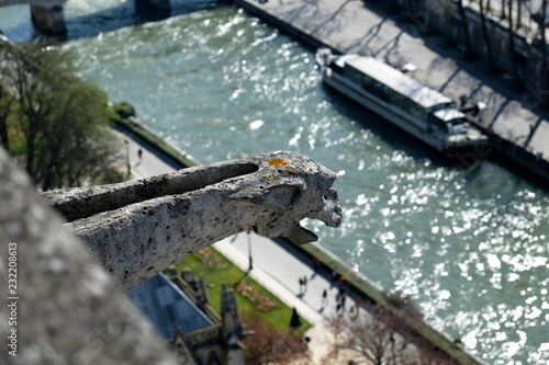 View from Notre Dame in Paris © Timm