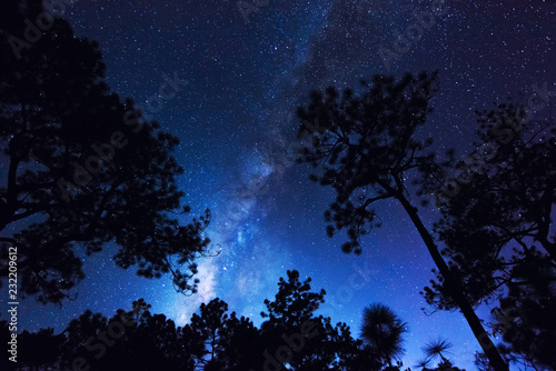 Landscape Milky Way with Starry Night in Blue Sky Over the Forest