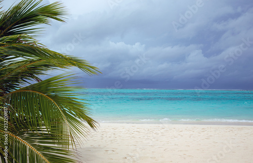 Fototapeta Naklejka Na Ścianę i Meble -  Palm trees on a tropical beach