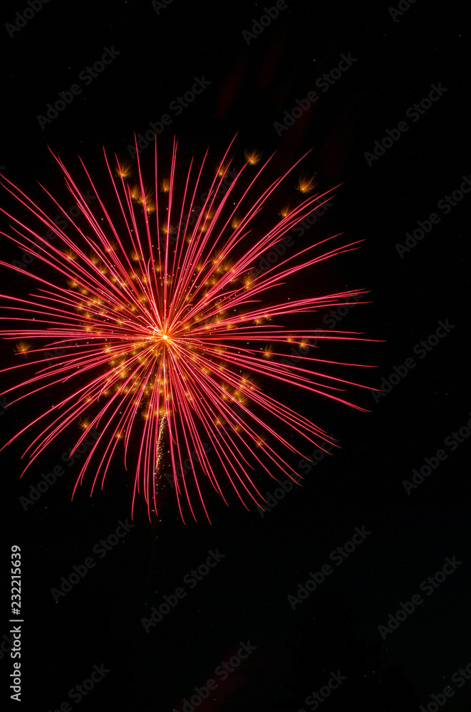 Bright red brocade firework with gold glitter highlights against a black sky