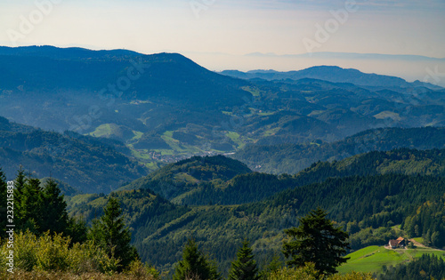 Blackforest in Germany