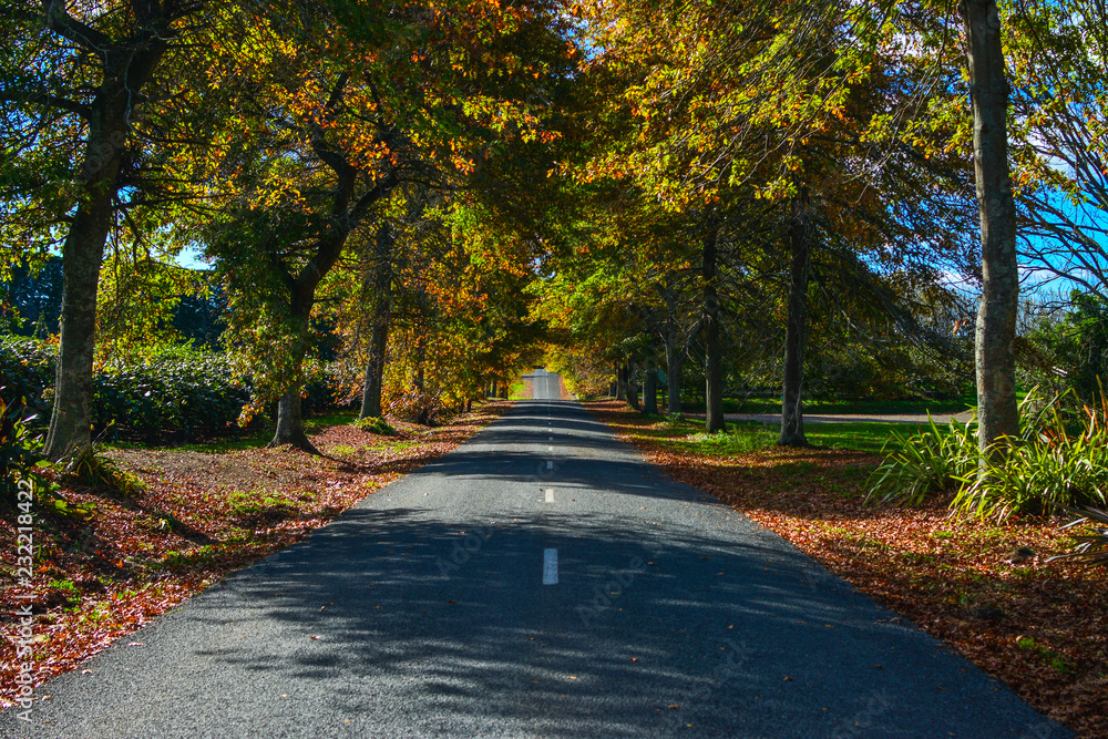 Naklejka premium Road
