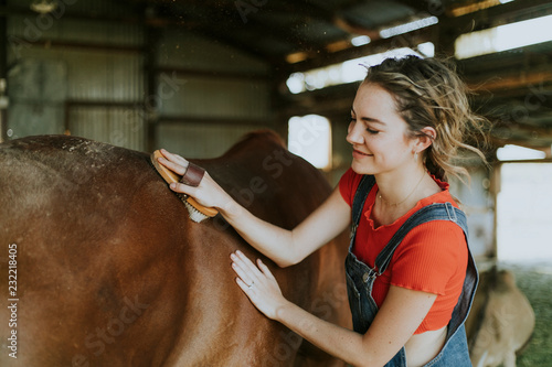 Girl brushing a chestnut horse