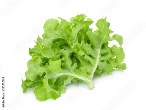 fresh green oak lettuce salad leaves isolated on white background