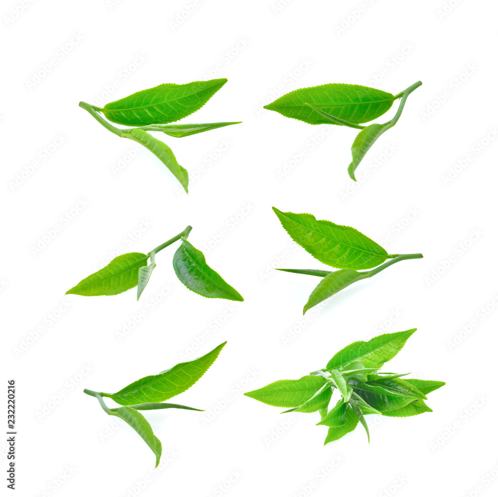 green tea leaves on white background green tea leaves on white background