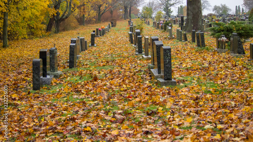 old cemetery in autumn rain, misty, alone, isolated, no people, sad, peaceful.