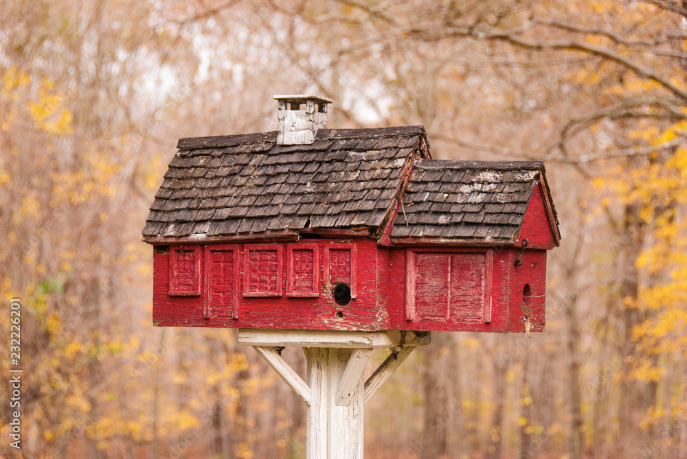 Bird House - Autumn Killingworth