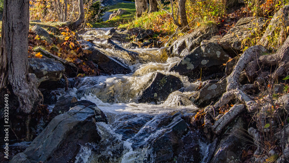 Fototapeta premium waterfall in the forest, autumn foliage, no people, peaceful