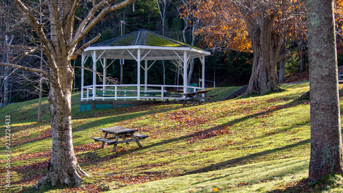 autumn in the park with gazebo and picnic table